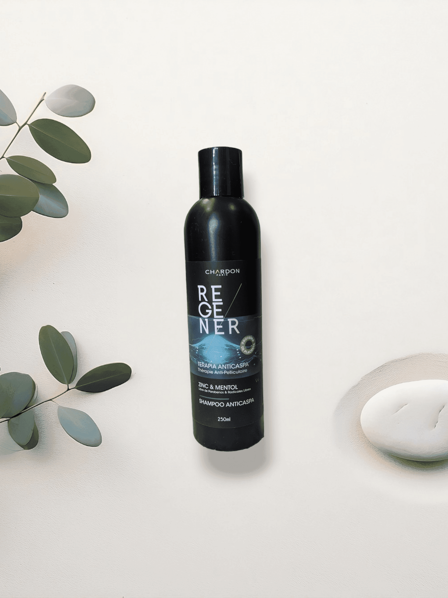 CHARDON SHAMPOO ANTICASPA ZINC Y MENTOL